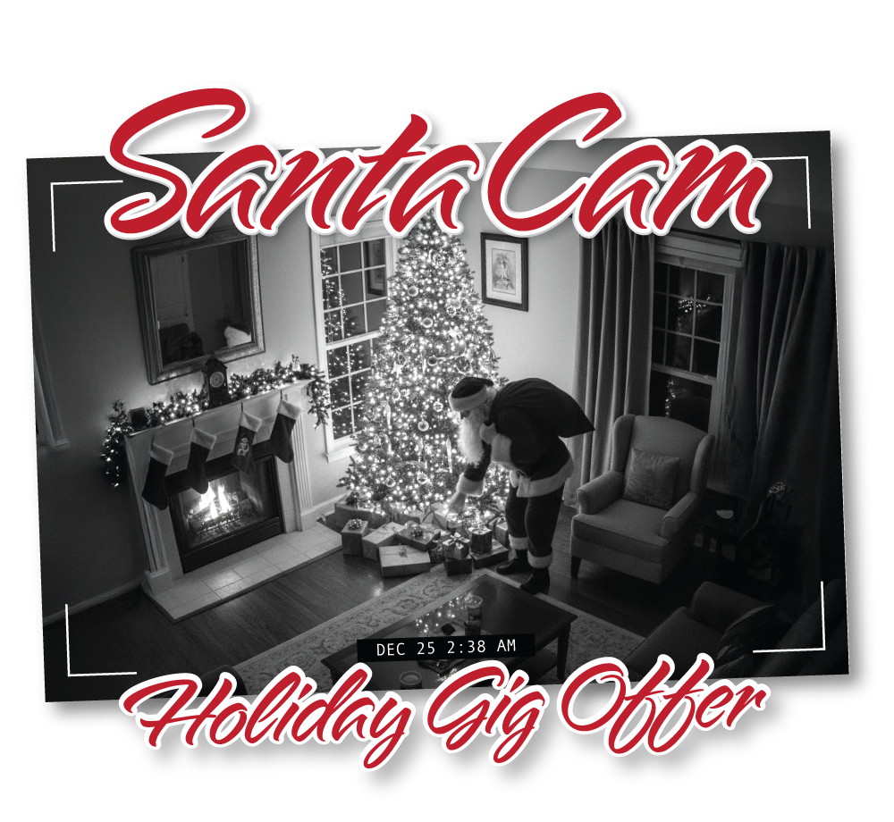 Santa Cam holiday gig offer